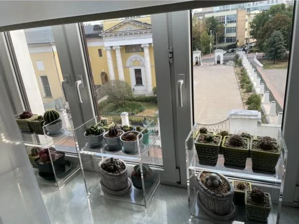 Подставки для растений — Оргстекло, фото 1